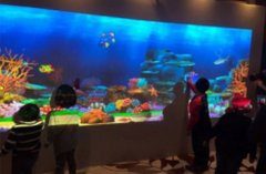 畫畫水族館和互動涂鴉的區(qū)別